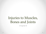 Injuries to Muscles, Bones and Joints