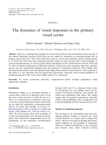 The dynamics of visual responses in the primary visual cortex
