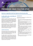 polymerase chain reaction (pcr)