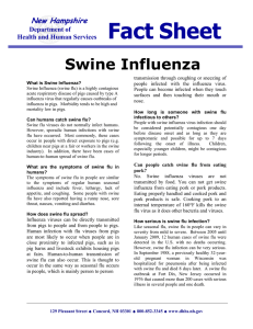 Swine Flu Fact Sheet