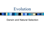 Natural Selection - kestrelteambiology
