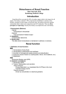 Effects of Nephron Loss on Renal Excretory Mechanisms