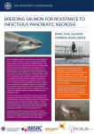 breeding salmon for resistance to infectious pancreatic necrosis