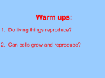 Life Cycle of Cells