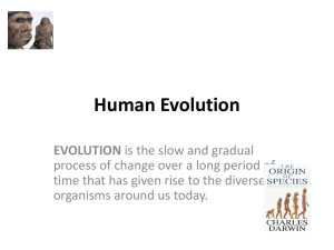 Human Evolution - 10EssentialScience