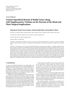 Case Report Variant Superficial Branch of Radial Artery along with