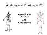 Anatomy and Physiology 120