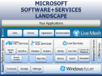 Microsoft Software+Services Landscape