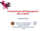 VEGF - Scientific Organizing Service