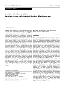 Aerial performance of stalk-eyed ¯ies that differ in eye span