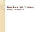 1 Basic Biological Principles