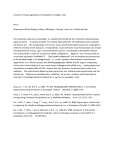Assembly of the phragmoplast microtubule array in plant cells Bo Liu
