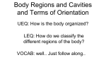 Body Regions and Cavities cp power point with activities