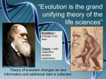 Summary Powerpoint of all Evolution chapters