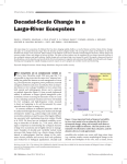 Decadal-Scale Change in a Large-River Ecosystem