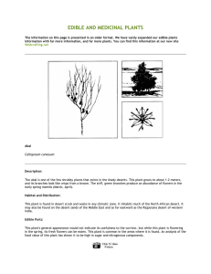 edible and medicinal plants - Modern Christian Survivalist