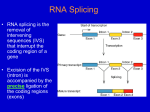 RNA Splicing 1