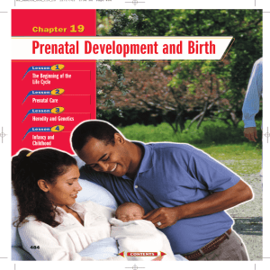Chapter 19: Prenatal Development and Birth