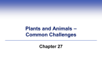Plants and Animals – Common Challenges