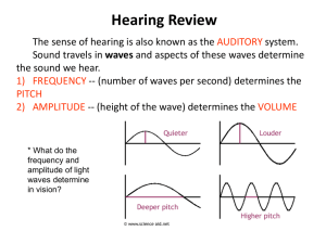 middle ear