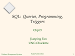SQL: Queries, Programming, Triggers