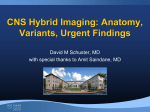 CNS Hybrid Imaging: Anatomy, Variants, Urgent
