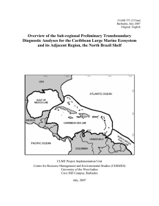 Overview of the Sub-regional Preliminary Transboundary Diagnostic
