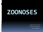 Zoonoses - สำนักงานป้องกันควบคุมโรคที่12 สงขลา สคร12 odpc12