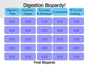 Review Jeopardy File