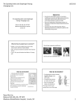 The Speaking Valve and Diaphragm Pacing - Passy-Muir