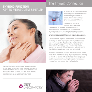 The Thyroid Connection