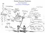 Protein Structure Prediction