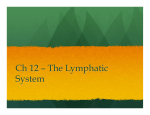 Lymph System - Trinity Christian School