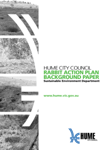 rabbit action plan background paper