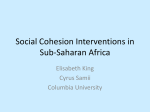 Social Cohesion Interventions in Sub