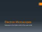Electron Microscopes - Mounds Park Academy Blogs