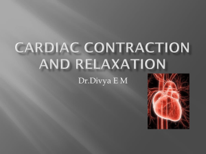 Cardiac Contraction and Relaxation