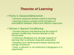 Theories of Learning