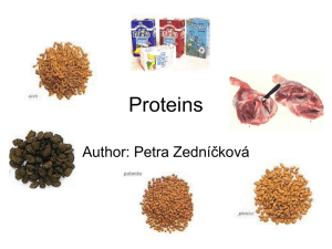 proteinszednii