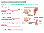 Autonomic nervous system