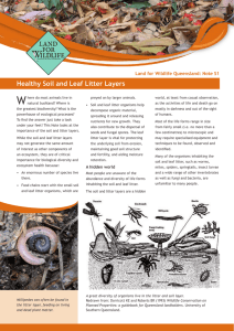 Healthy Soil and Leaf Litter Layers