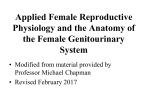 Applied Female Reproductive Physiology and the anatomy of the