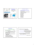 Partial Class Notes Chapter 10 Carbohydrates