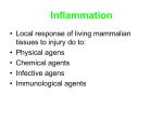 Acute inflammation