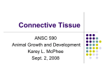 Connective Tissue - Faculty Website Listing