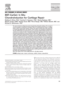 BST-CarGel: In Situ ChondroInduction for Cartilage Repair