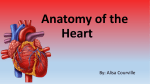 the heart - WordPress.com