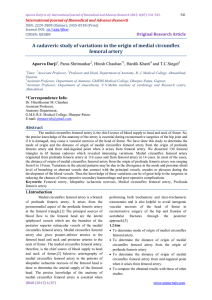 A cadaveric study of variations in the origin of medial circumflex