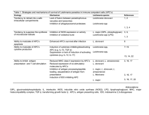 Table 1. Strategies and mechanisms of survival of Leishmania