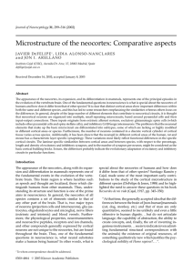 Microstructure of the neocortex: Comparative aspects
